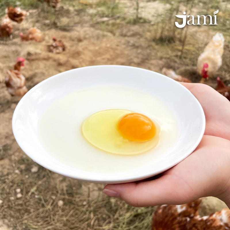 첨부된 이미지파일